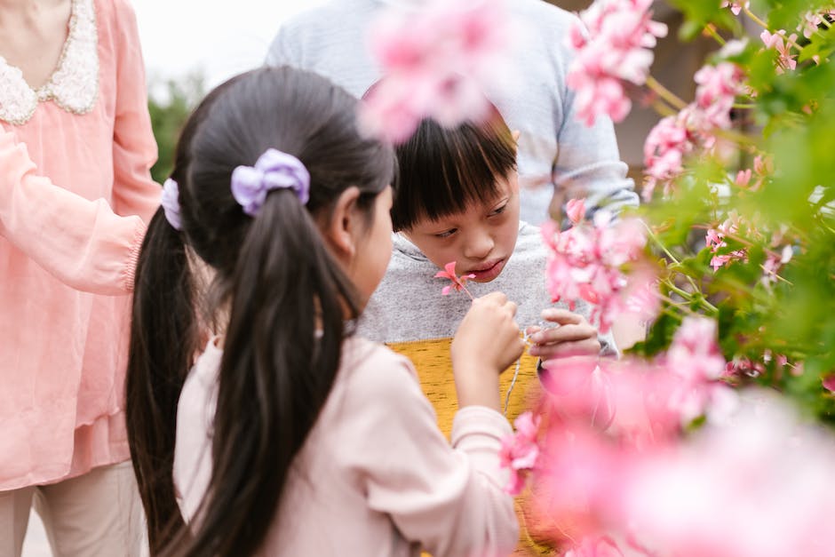 An image of siblings playing together in a park, building strong bonds